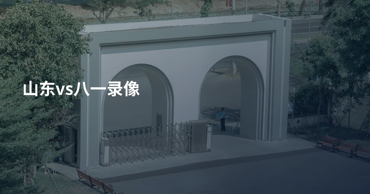 山东vs八一录像