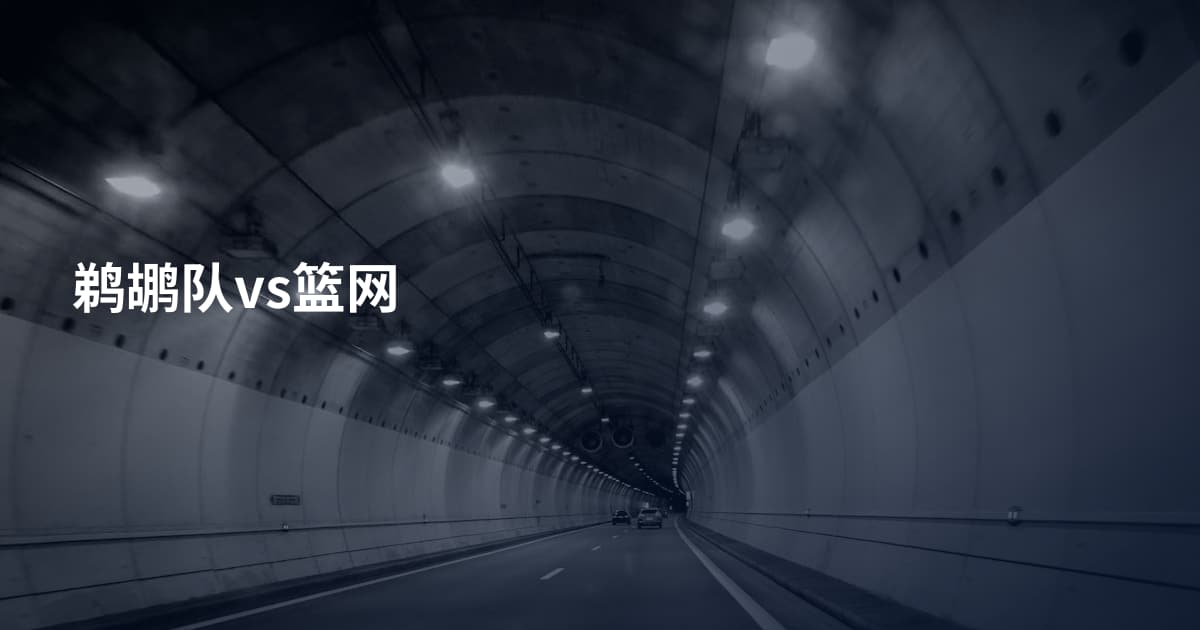 鹈鹕队vs篮网