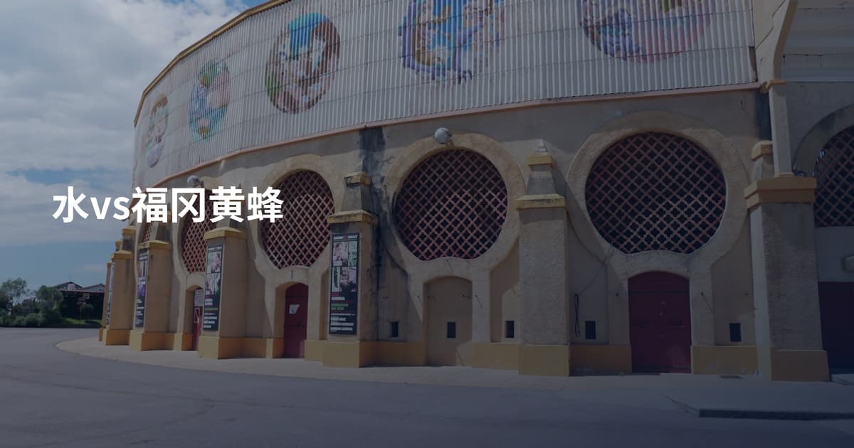 水vs福冈黄蜂