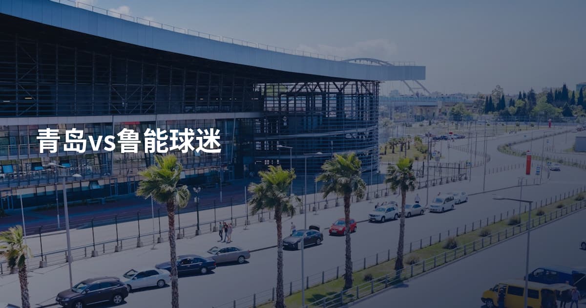 青岛vs鲁能球迷