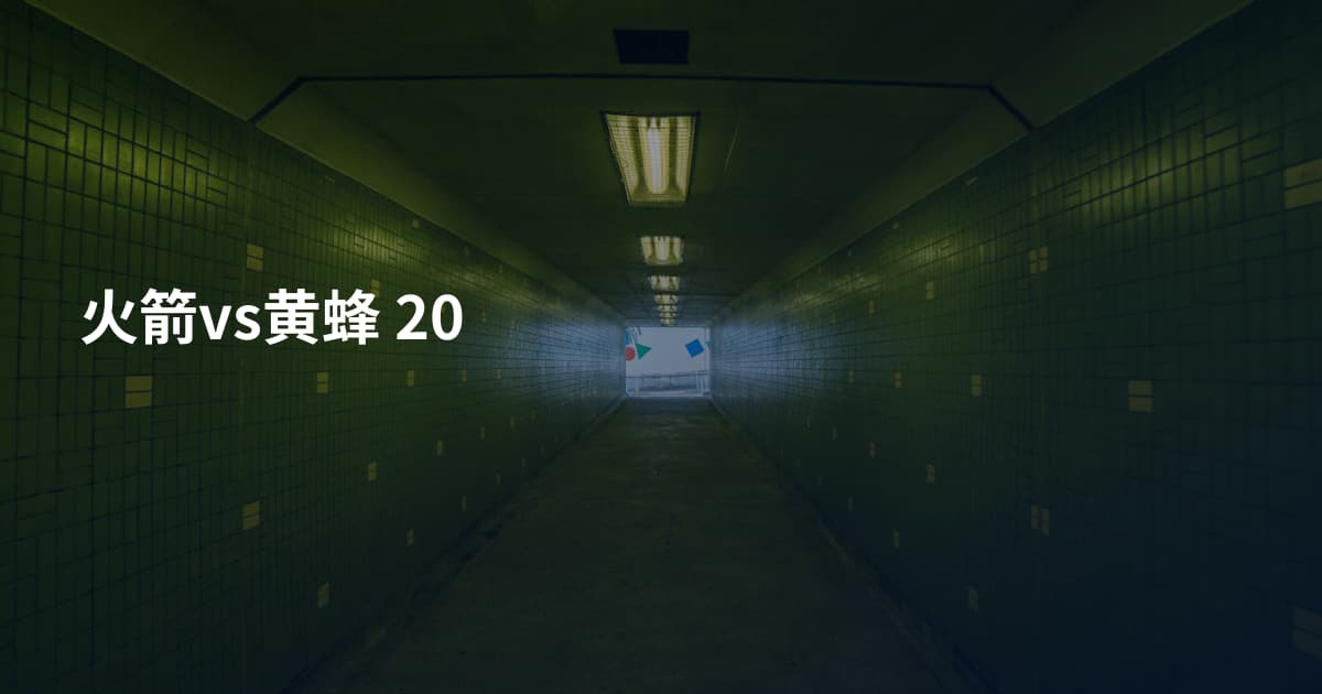 火箭vs黄蜂 20