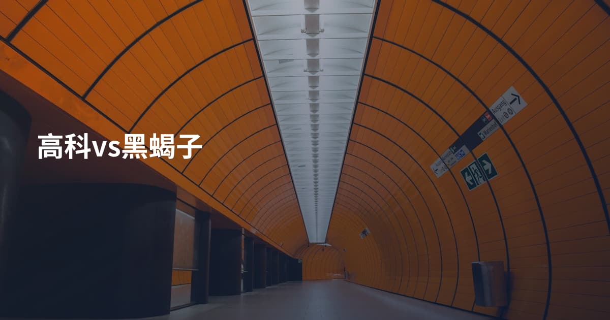高科vs黑蝎子