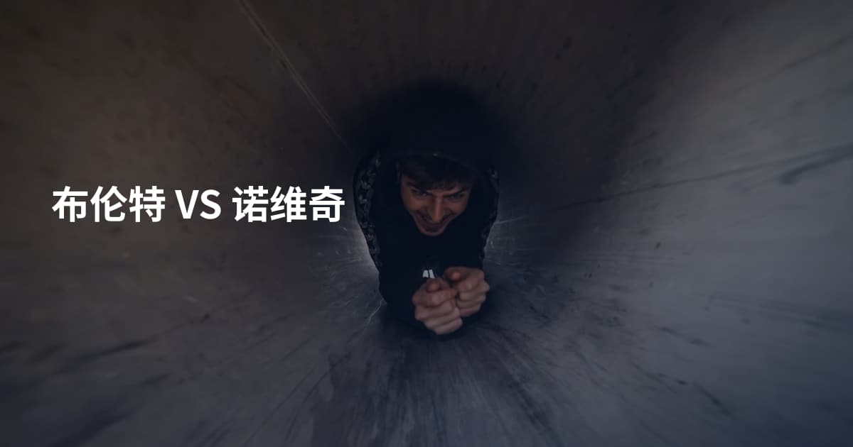 布伦特 VS 诺维奇