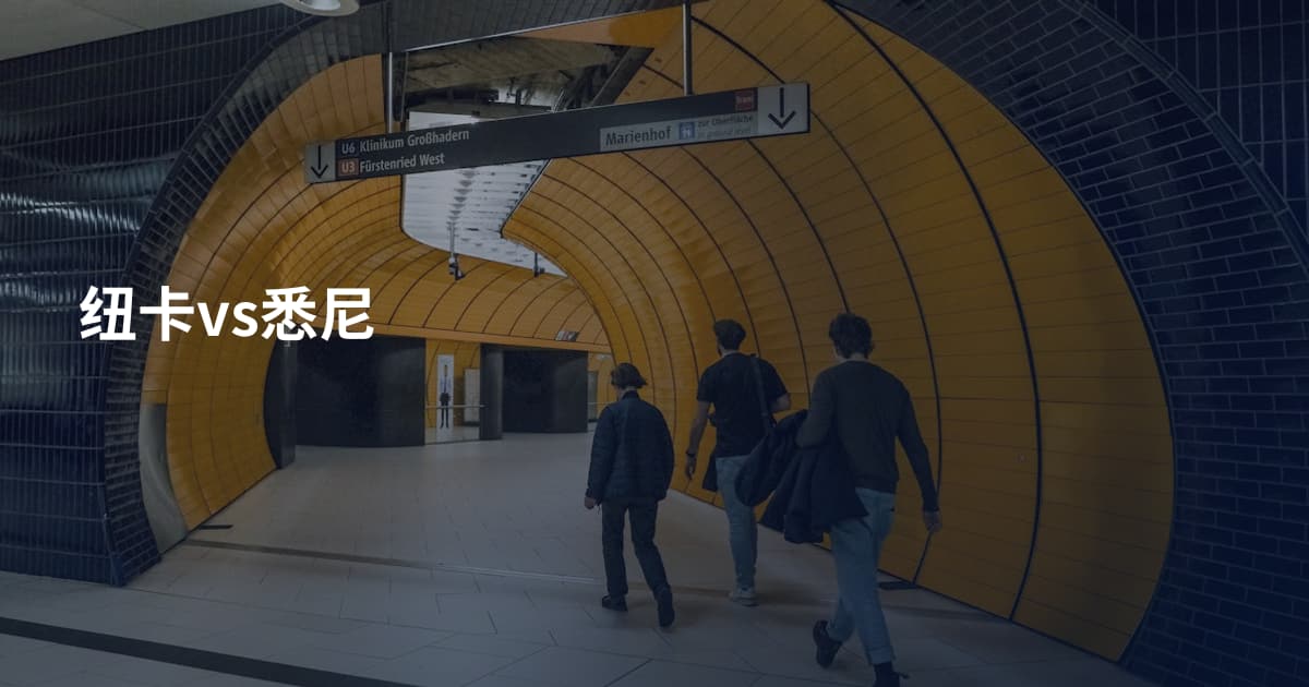 纽卡vs悉尼