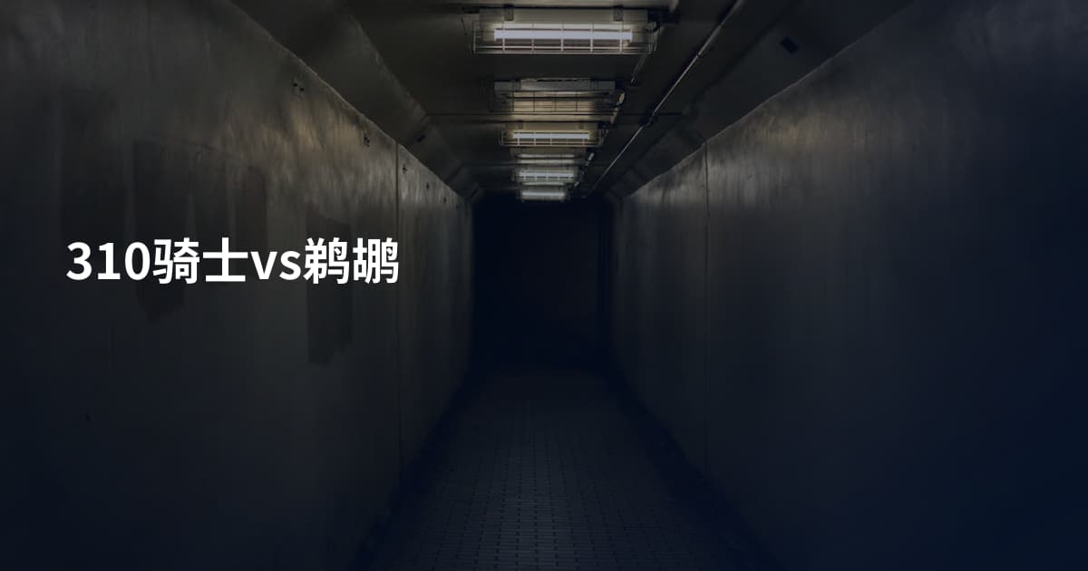310骑士vs鹈鹕