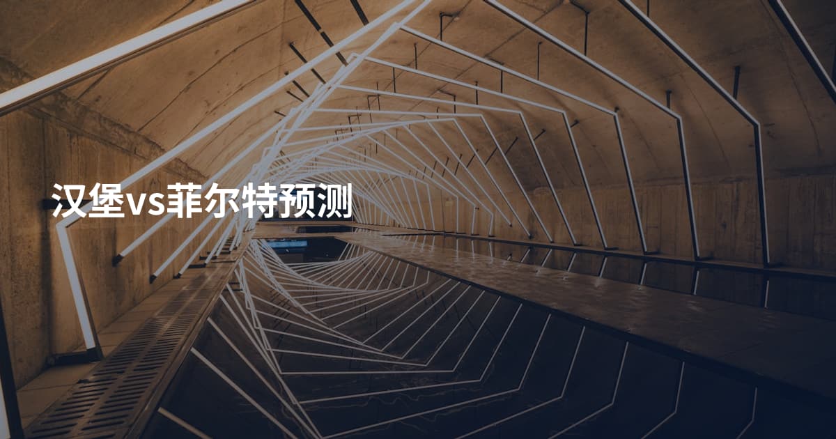 汉堡vs菲尔特预测