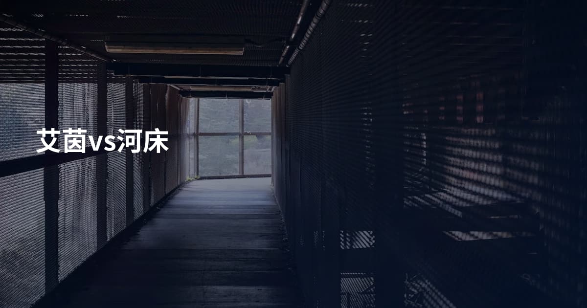 艾茵vs河床