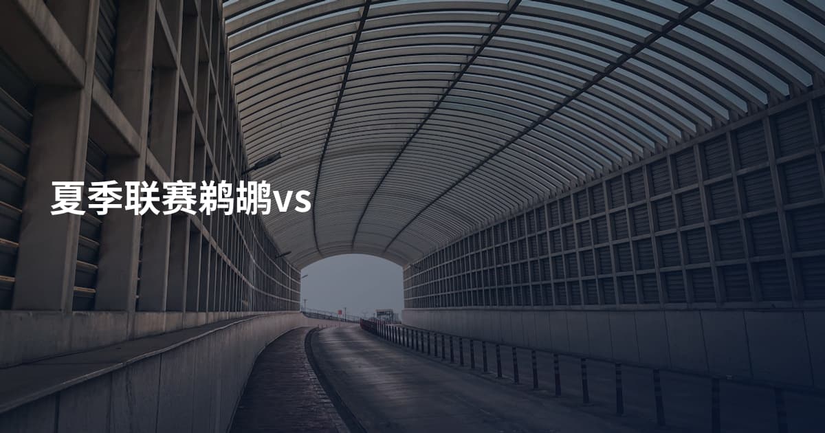 夏季联赛鹈鹕vs