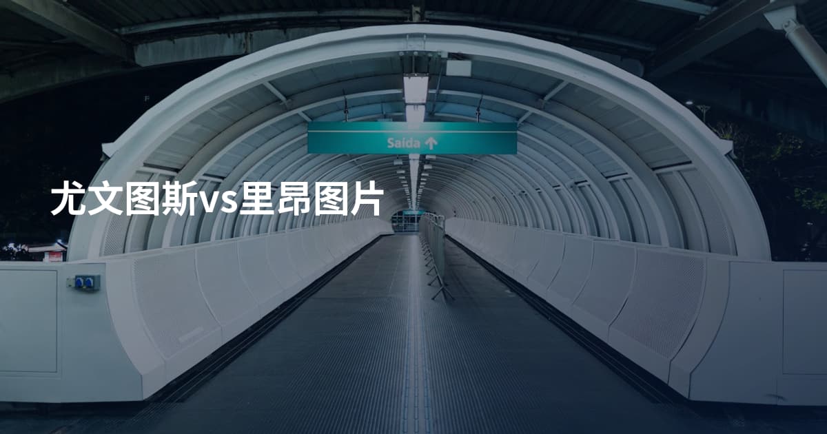尤文图斯vs里昂图片
