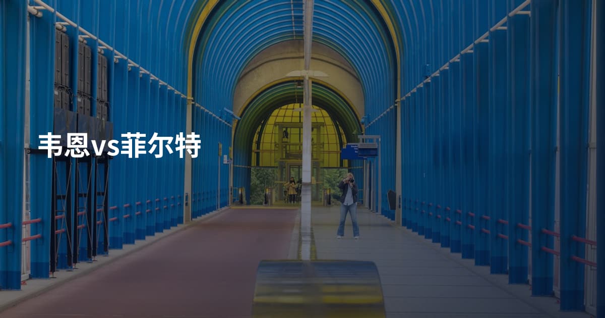 韦恩vs菲尔特