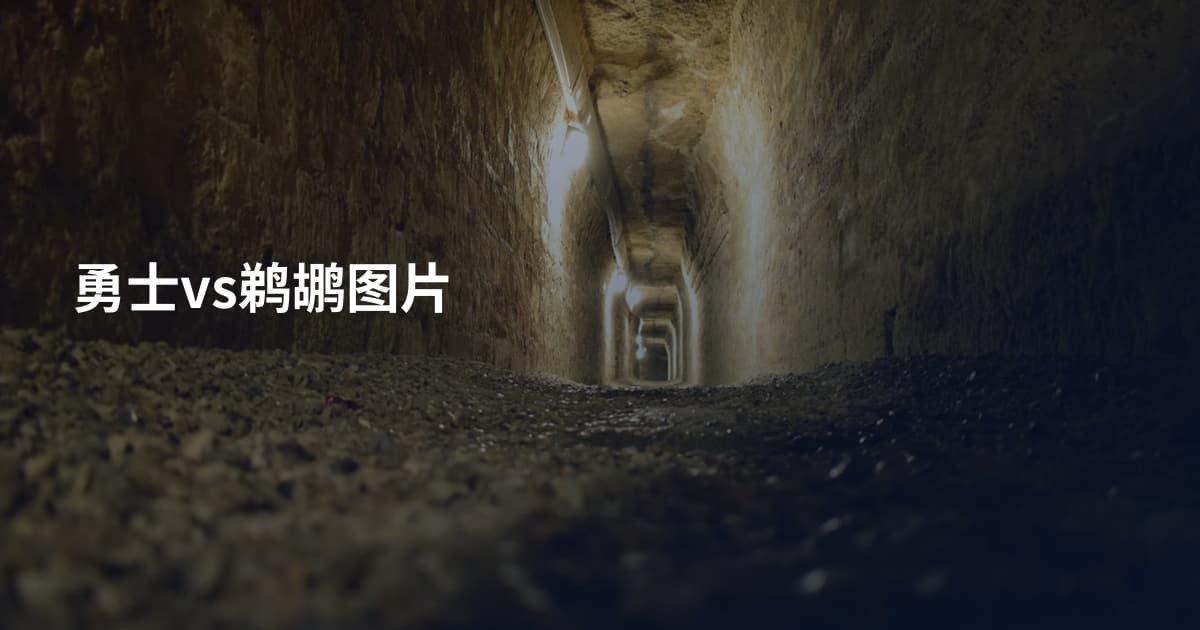 勇士vs鹈鹕图片