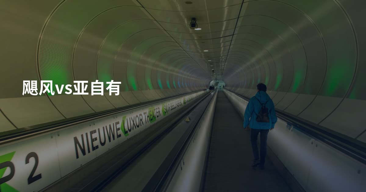 飓风vs亚自有