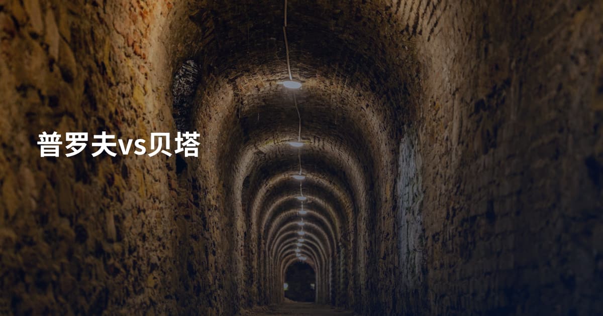 普罗夫vs贝塔