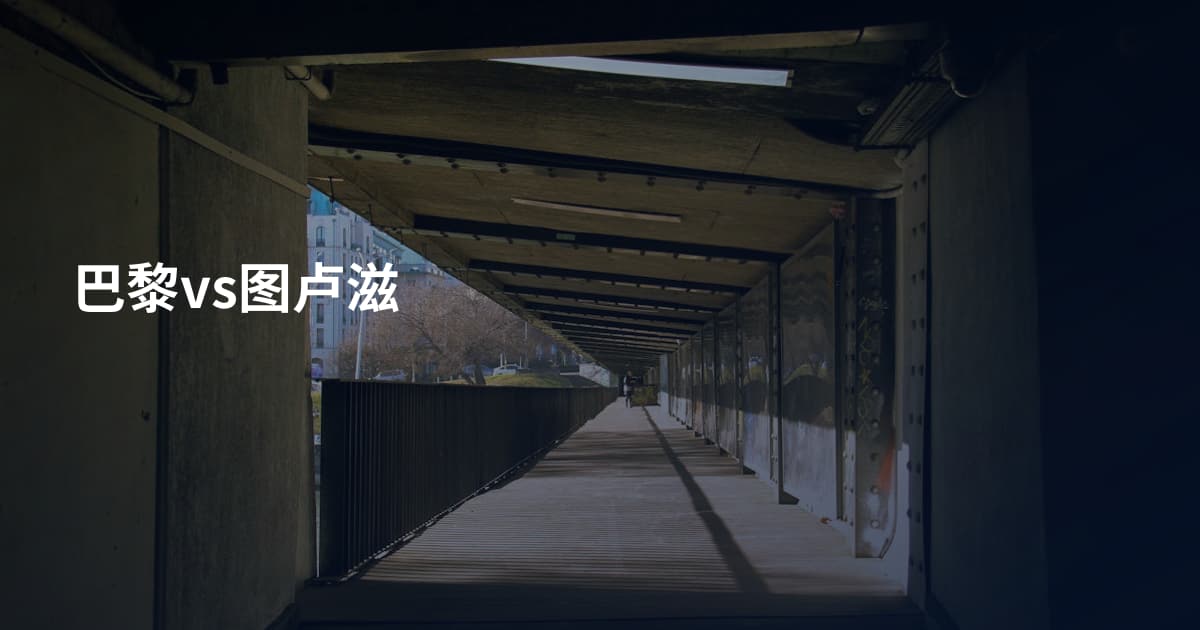 巴黎vs图卢滋