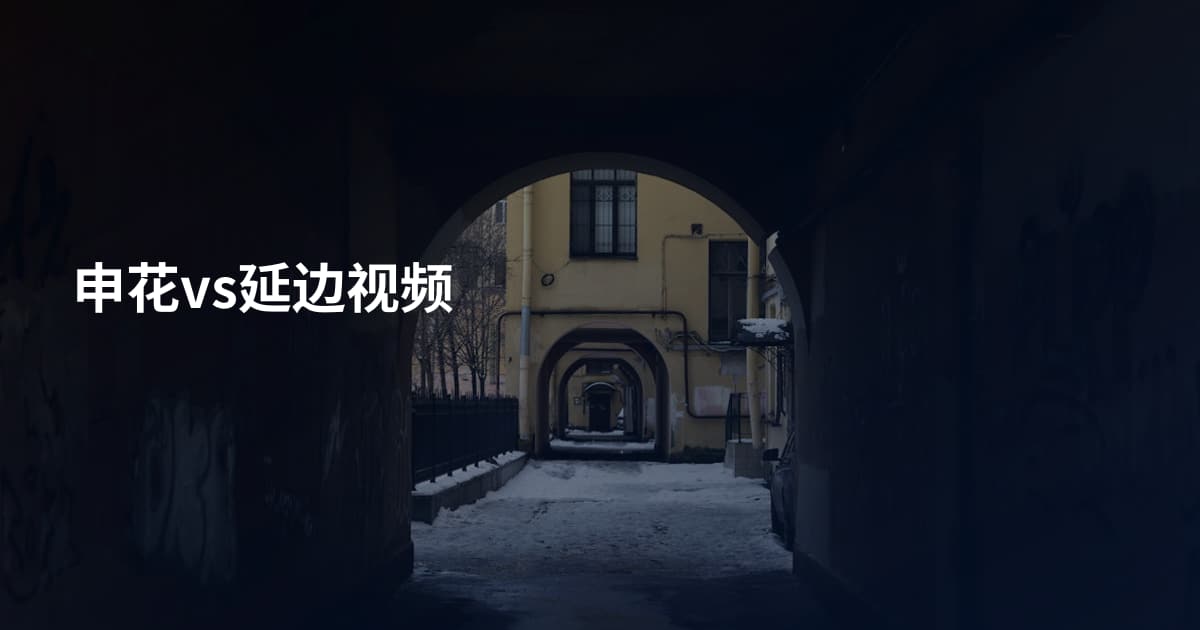 申花vs延边视频