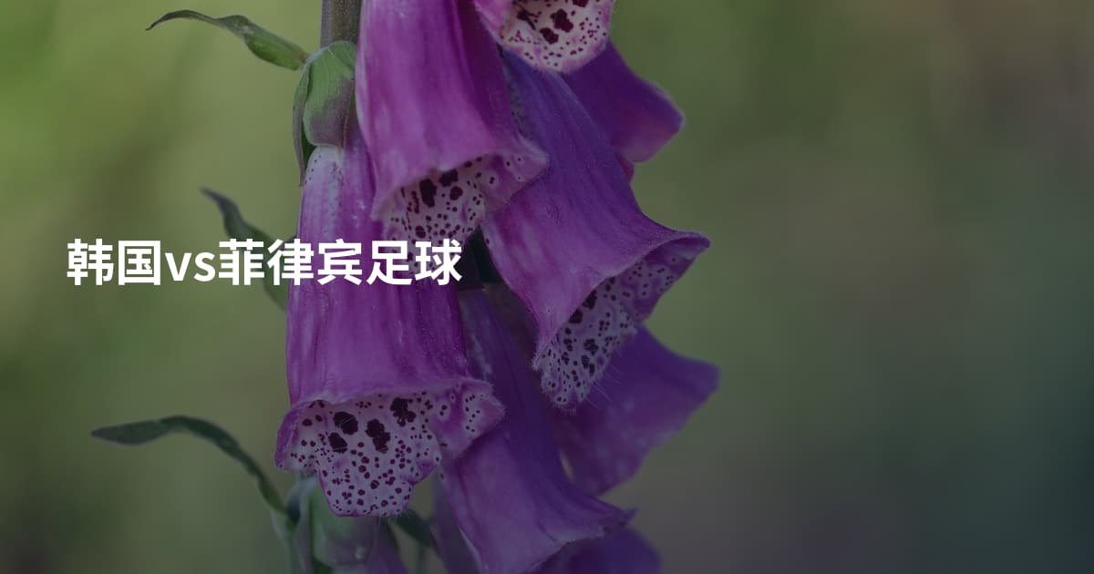 韩国vs菲律宾足球