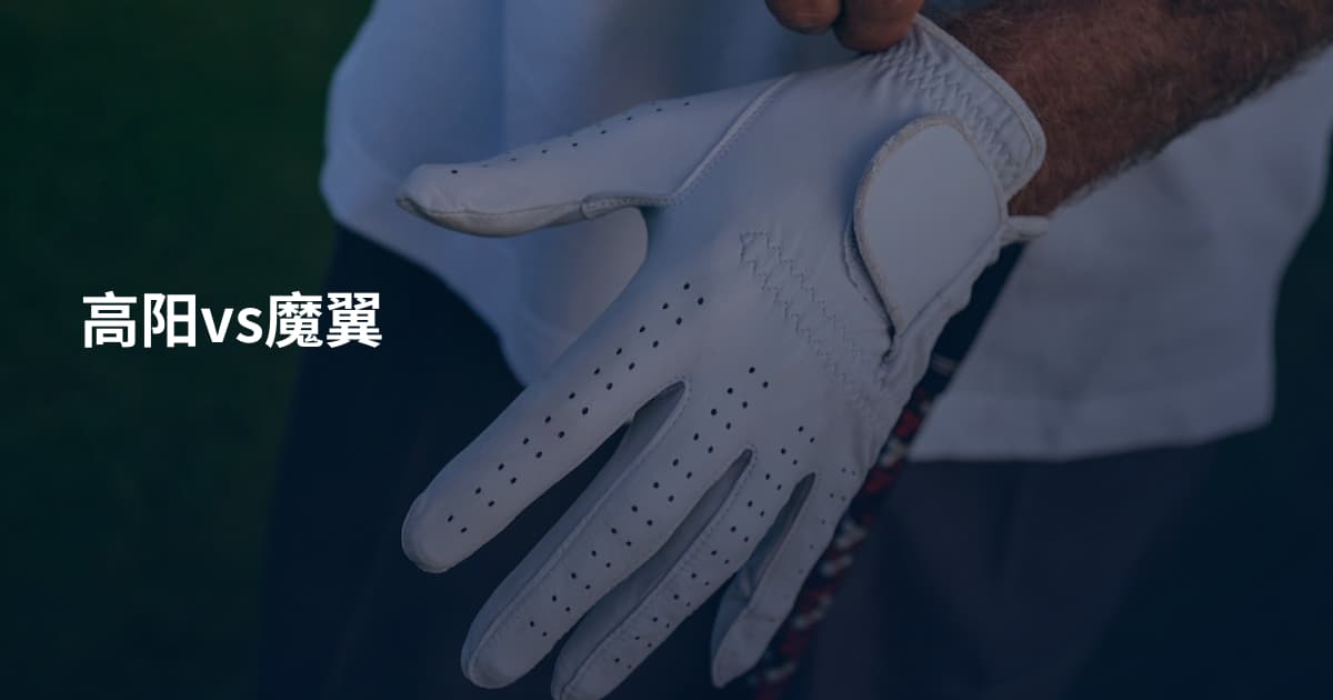 高阳vs魔翼