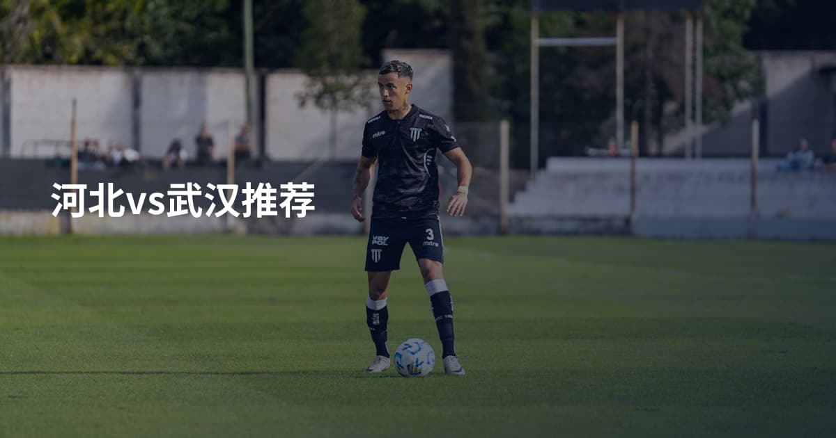 河北vs武汉推荐