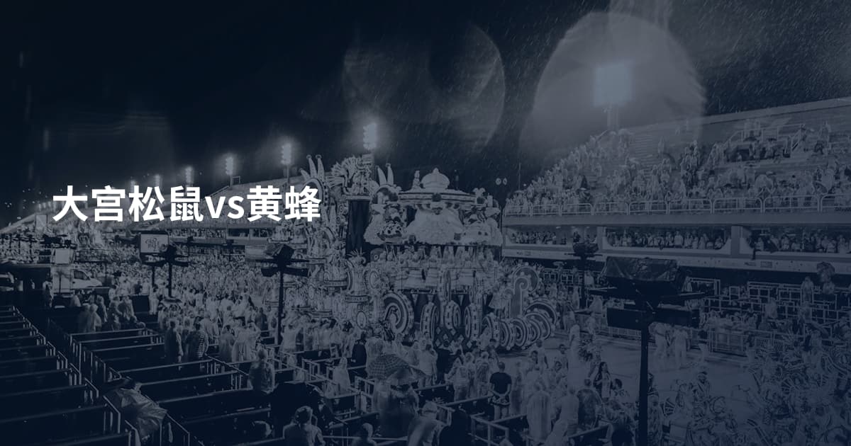 大宫松鼠vs黄蜂