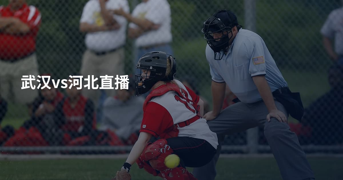 武汉vs河北直播