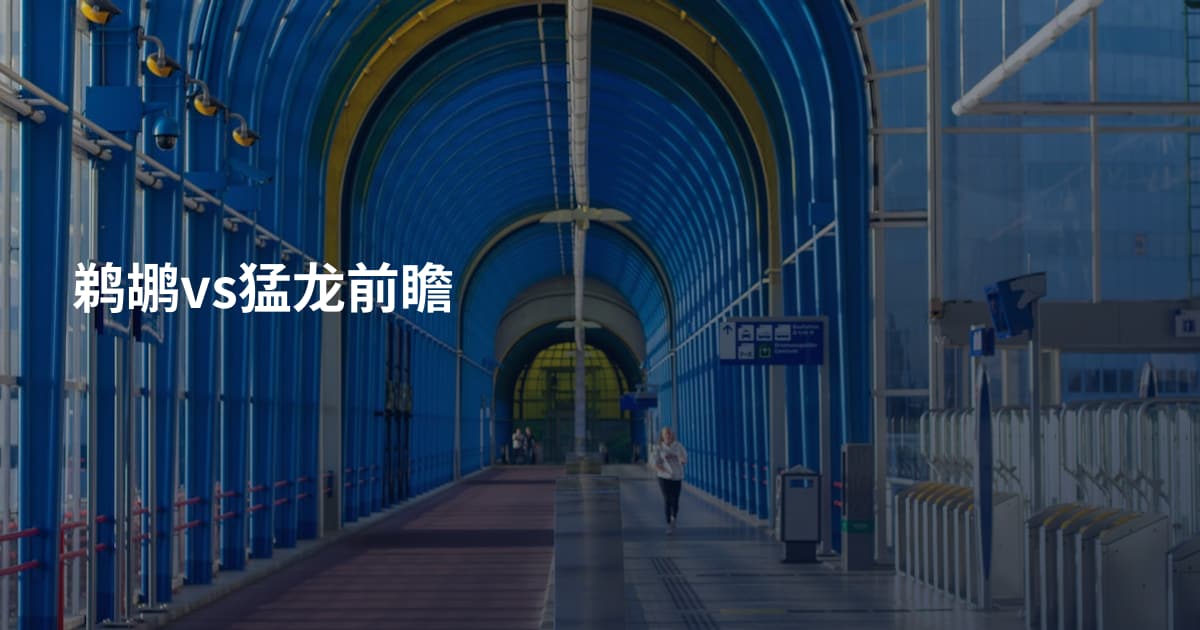 鹈鹕vs猛龙前瞻