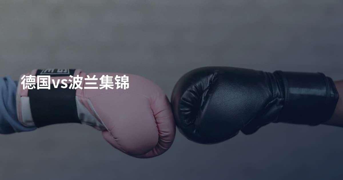 德国vs波兰集锦