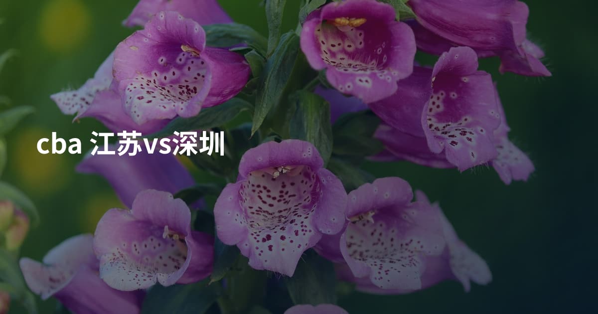 cba 江苏vs深圳