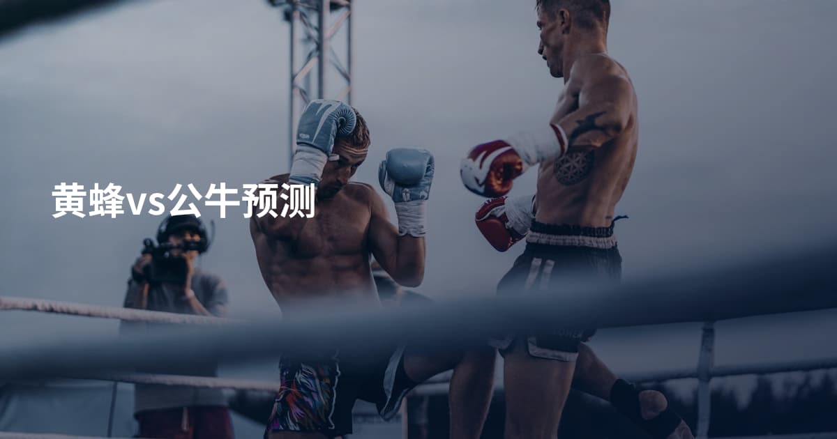 黄蜂vs公牛预测