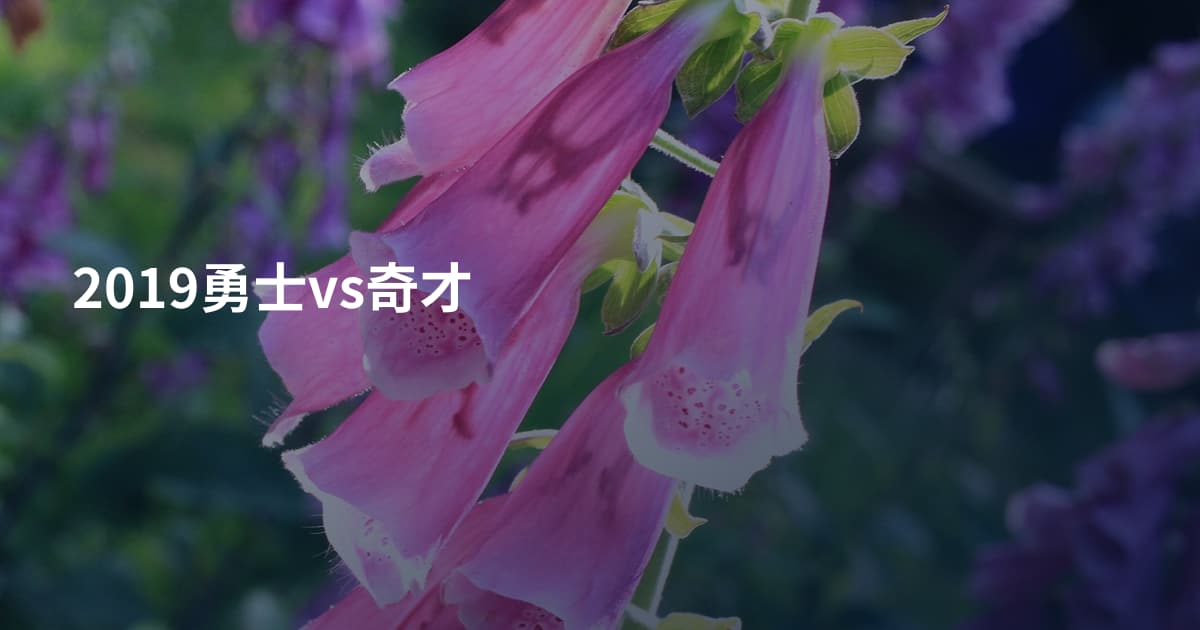 2019勇士vs奇才