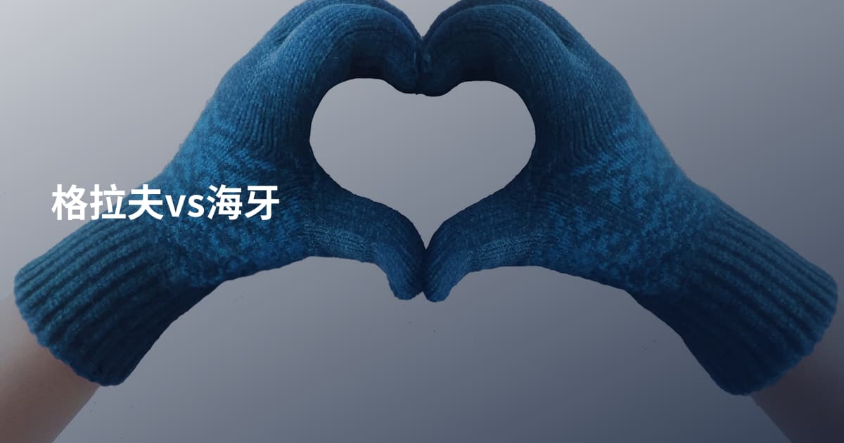 格拉夫vs海牙