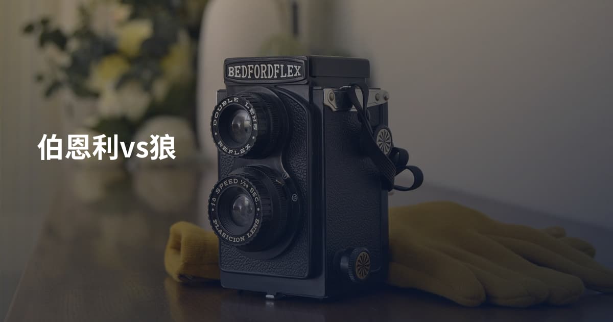 伯恩利vs狼