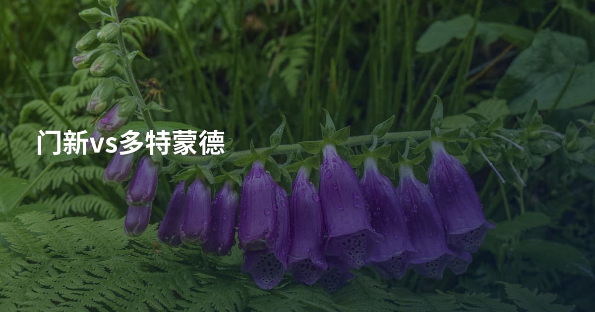 门新vs多特蒙德