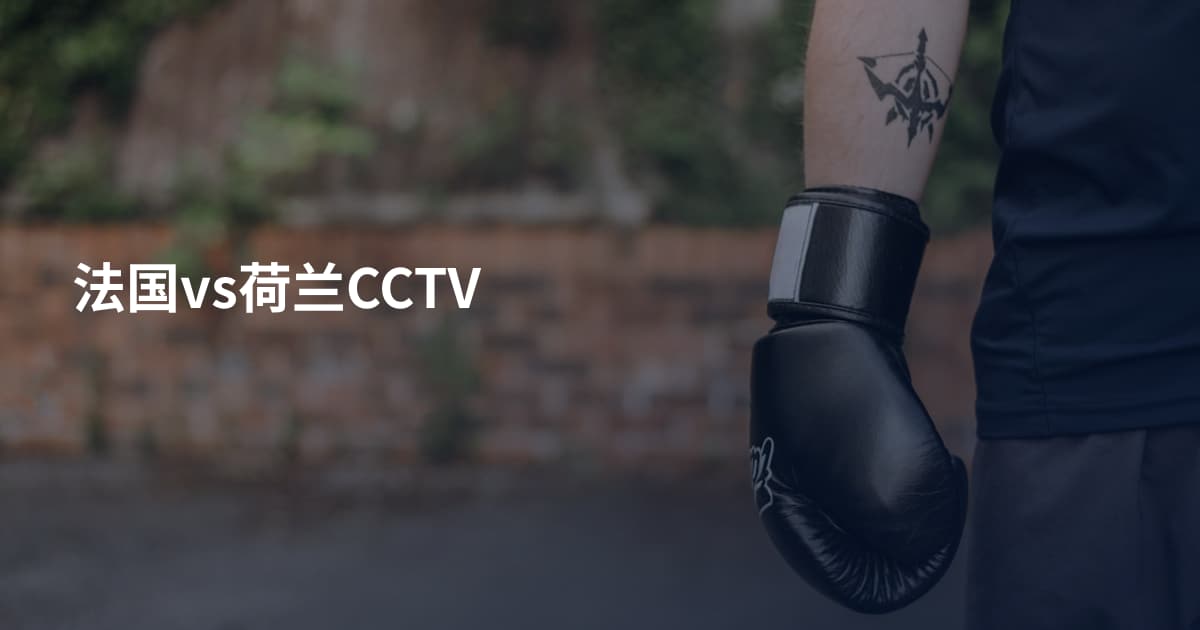 法国vs荷兰CCTV
