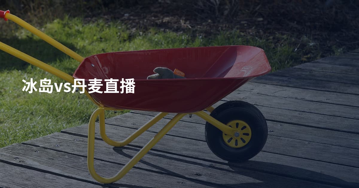 冰岛vs丹麦直播