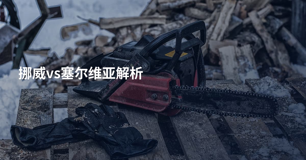 挪威vs塞尔维亚解析