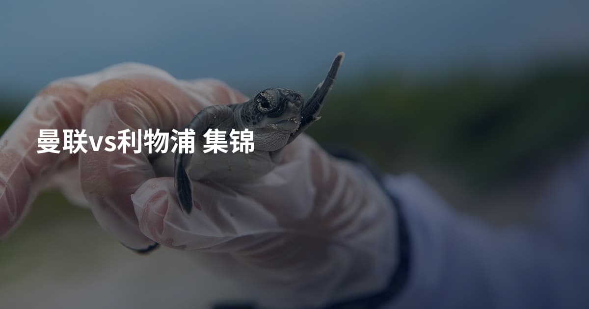 曼联vs利物浦 集锦