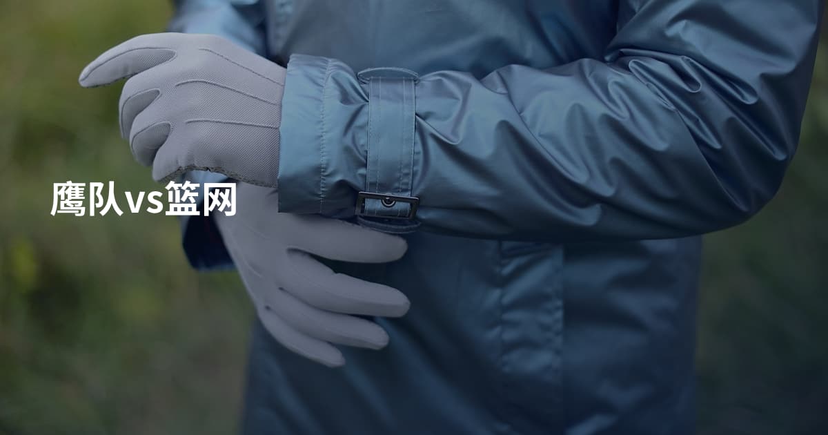 鹰队vs篮网