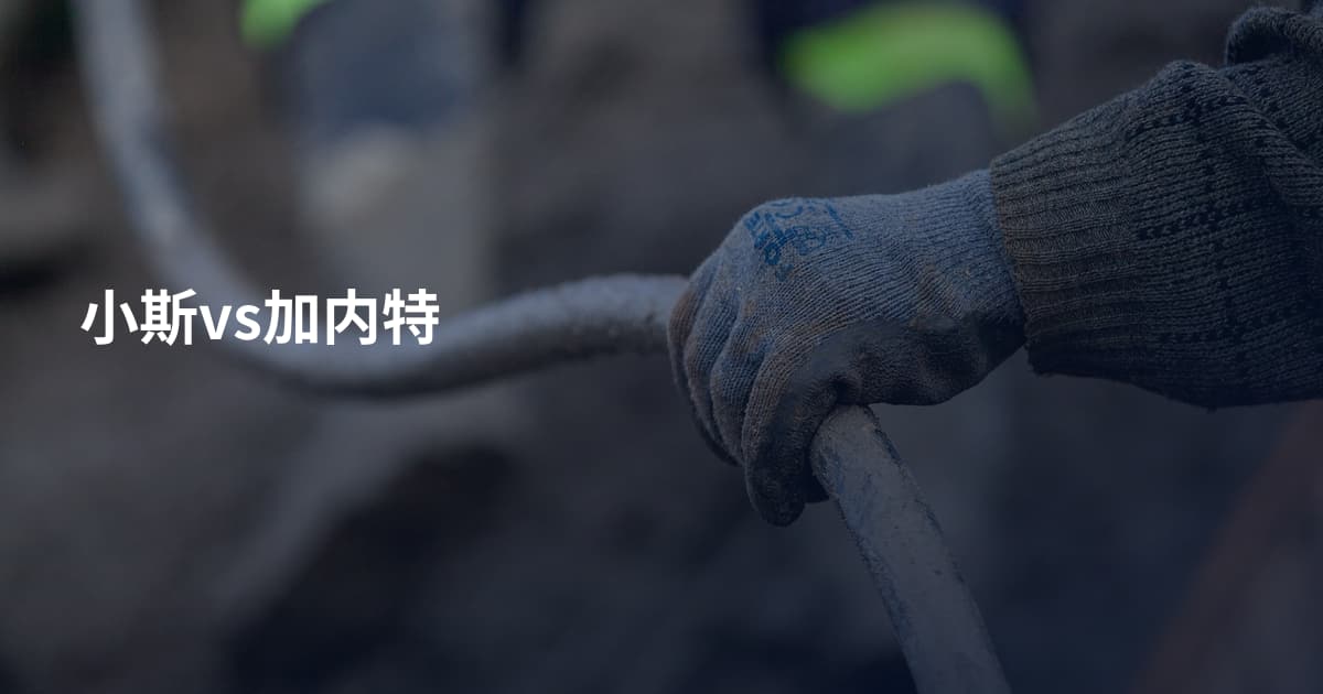 小斯vs加内特