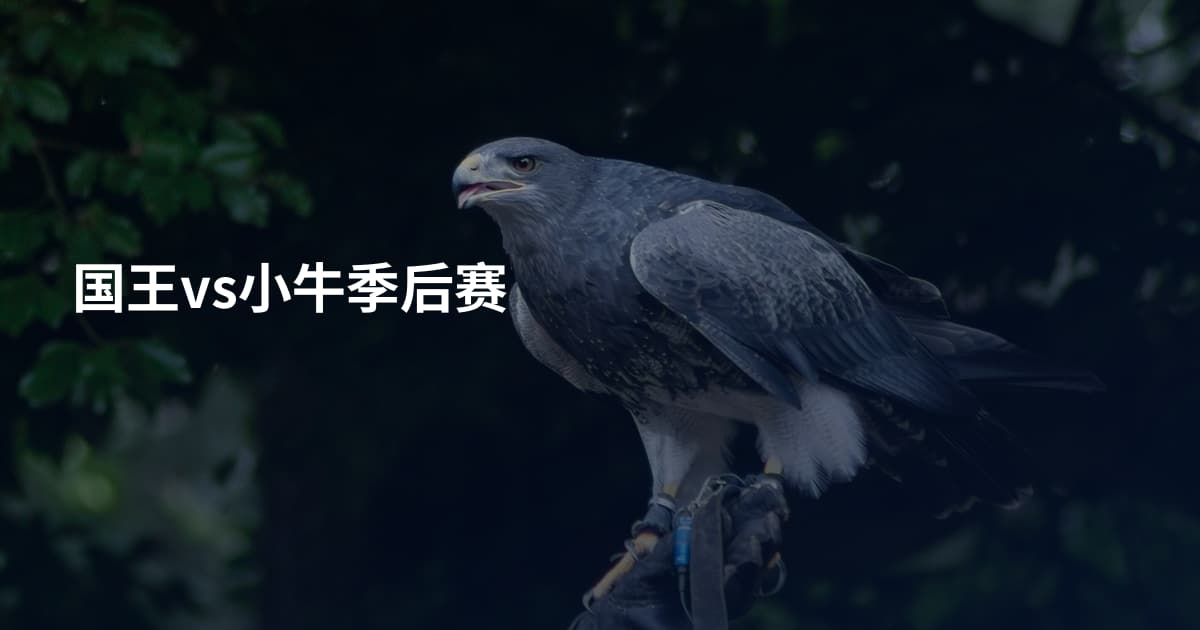 国王vs小牛季后赛