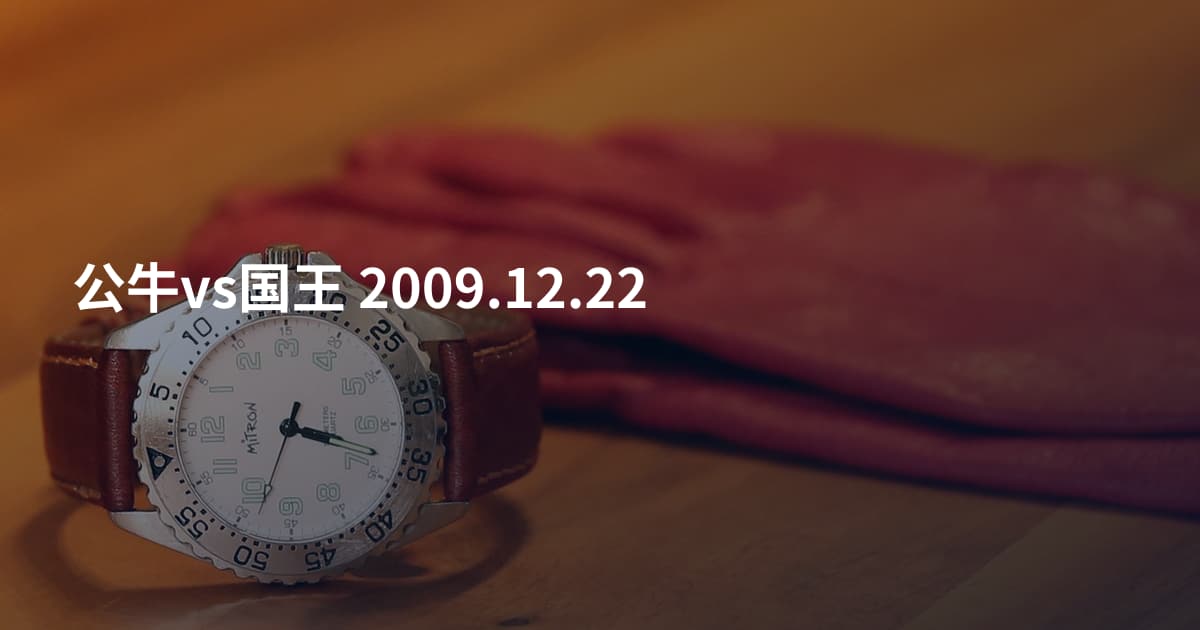 公牛vs国王 2009.12.22