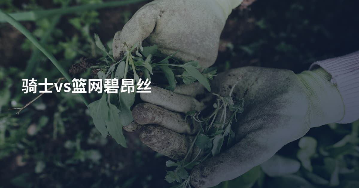 骑士vs篮网碧昂丝