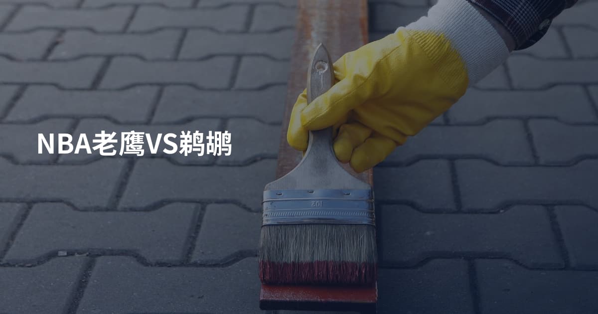 NBA老鹰VS鹈鹕