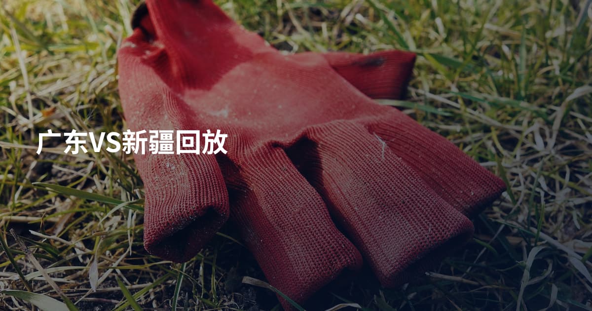 广东VS新疆回放