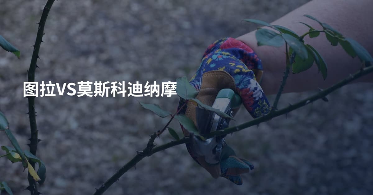 图拉VS莫斯科迪纳摩