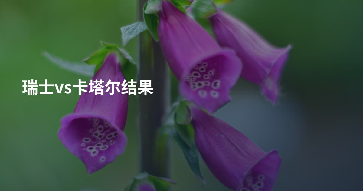 瑞士vs卡塔尔结果