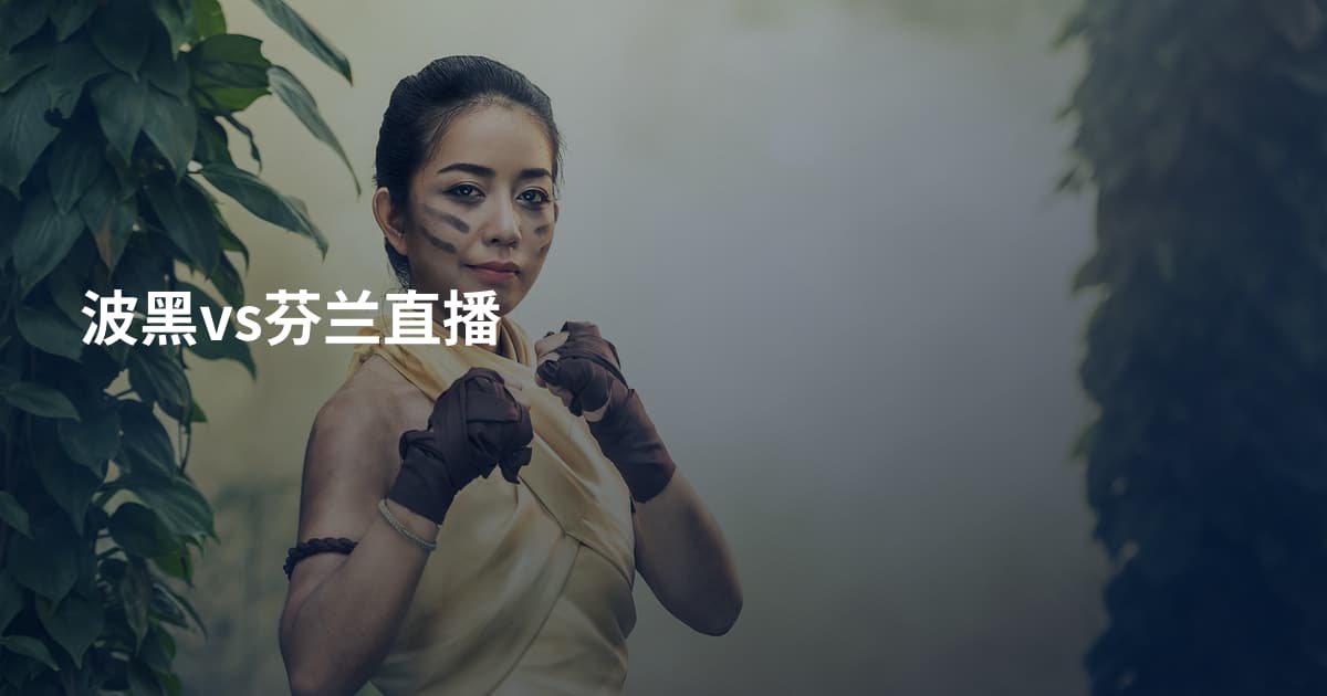 波黑vs芬兰直播