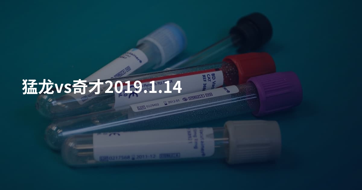猛龙vs奇才2019.1.14