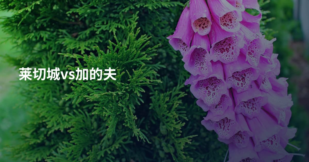 莱切城vs加的夫