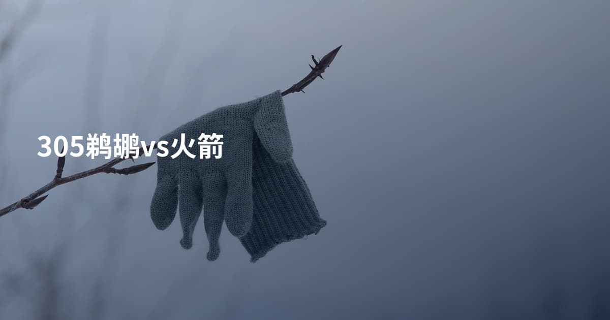 305鹈鹕vs火箭