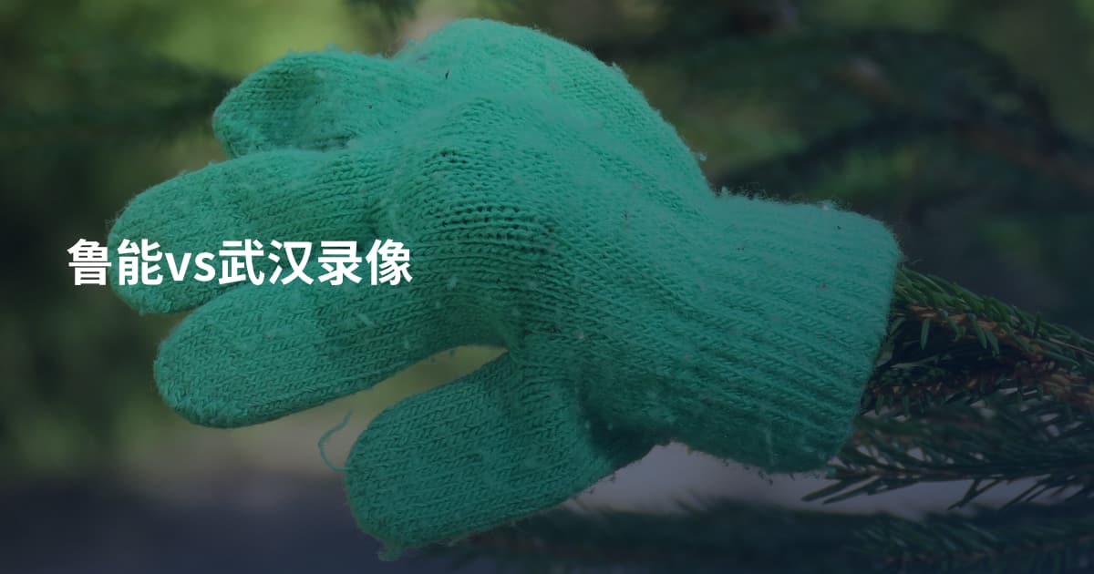 鲁能vs武汉录像